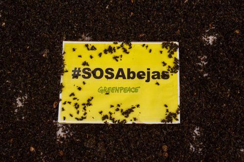 SOS Abejas