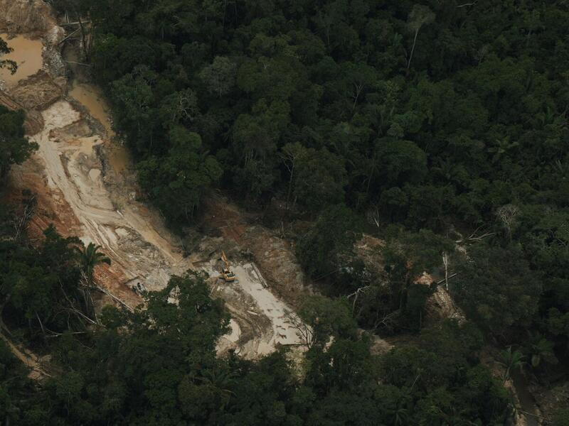La minería ilegal de oro destruye la Amazonía - ES | Greenpeace España