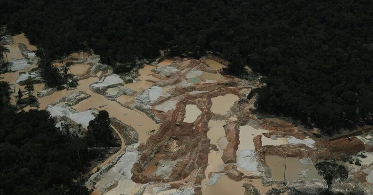 La minería ilegal de oro destruye la Amazonía - ES | Greenpeace España