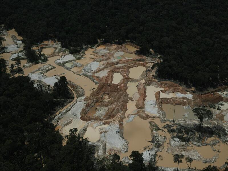La minería ilegal de oro destruye la Amazonía - ES | Greenpeace España
