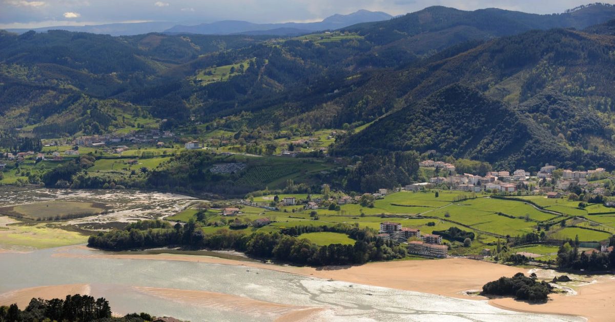 Urdaibai_peticion-1200x630-c-default.jpg
