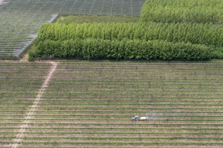 sistema_agroalimentario_españa