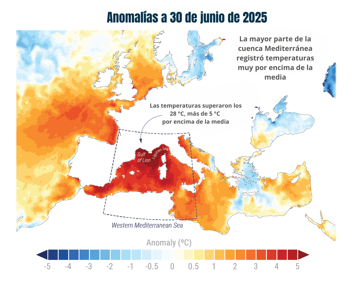 Anomalía de la temperatura superficial del mar en el Mediterráneo occidental
