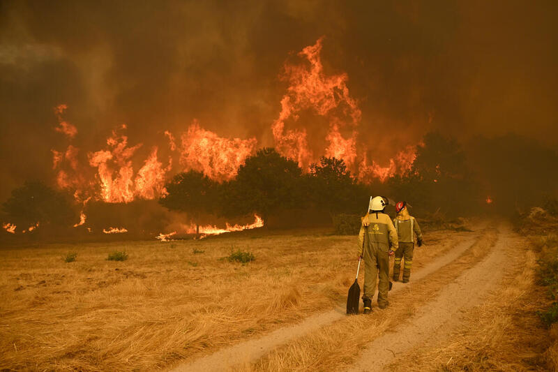 Bomberos apagando un incendio forestal en Ourense.