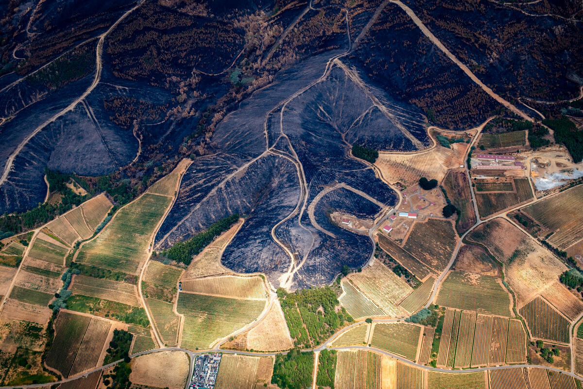 Incendio en Galicia