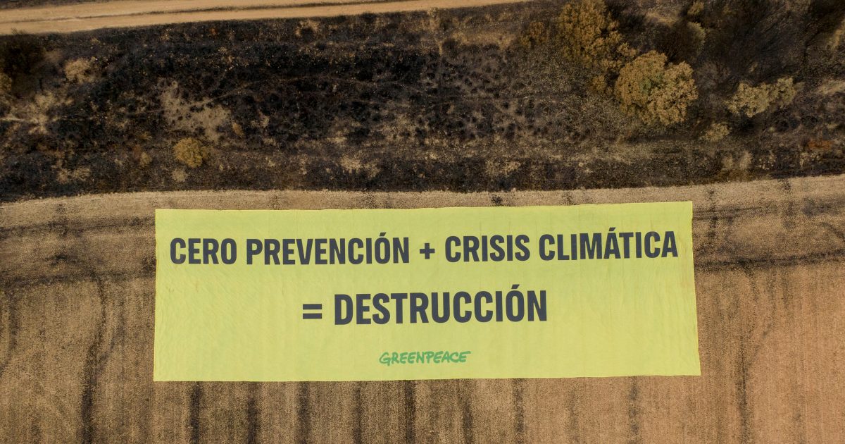 GP0SU6Q63_PressMedia-2500px-2-1200x630-c