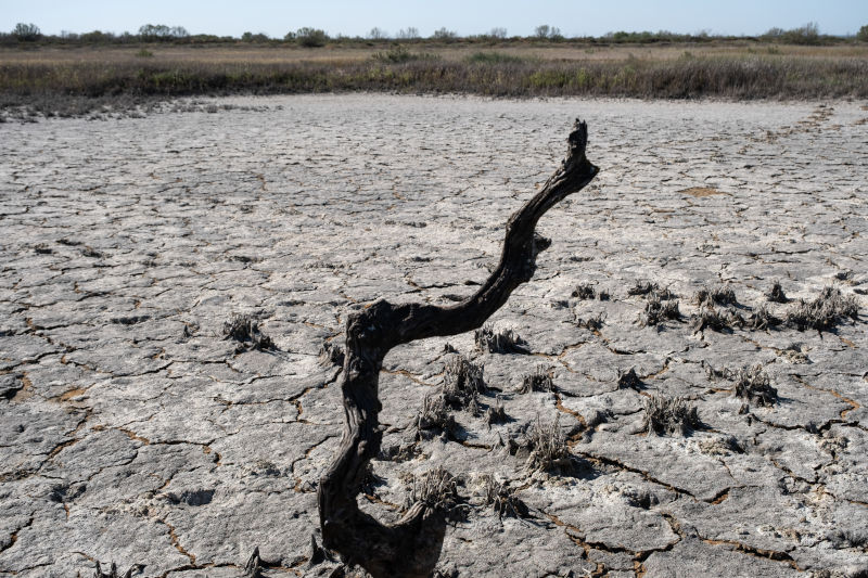 biodiversidad en peligro