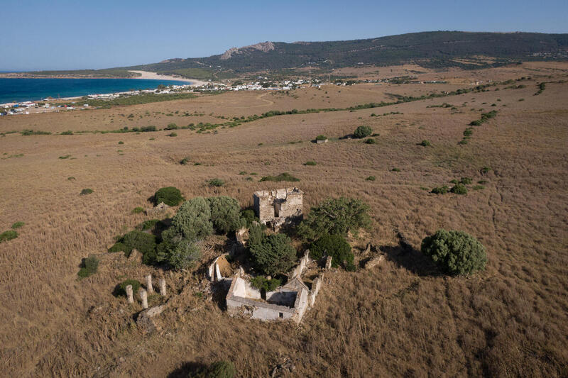 Bolonia