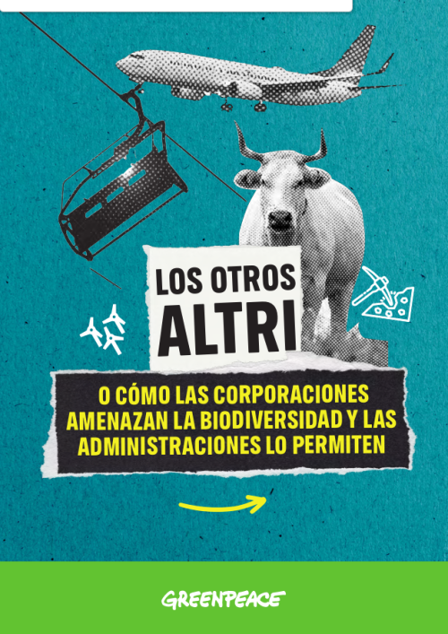 Fichas 12 casos informe 'Los otros Altri, o cómo las corporaciones amenazan la biodiversidad y las administraciones lo permiten' 