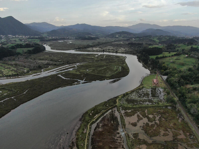 Urdaibai