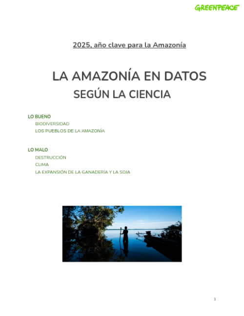 La Amazonía en datos, según la ciencia