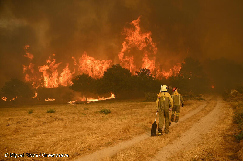 Incendio en Santa Baia de Montes. Ourense.