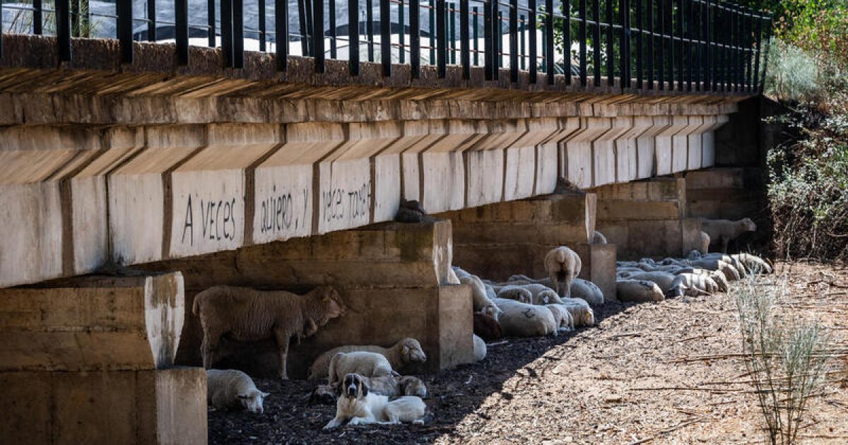 Informe-de-atribucion-Greenpeace-foto-12