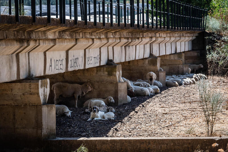 Investigadores alertan sobre la creciente sequía en España por el cambio climático