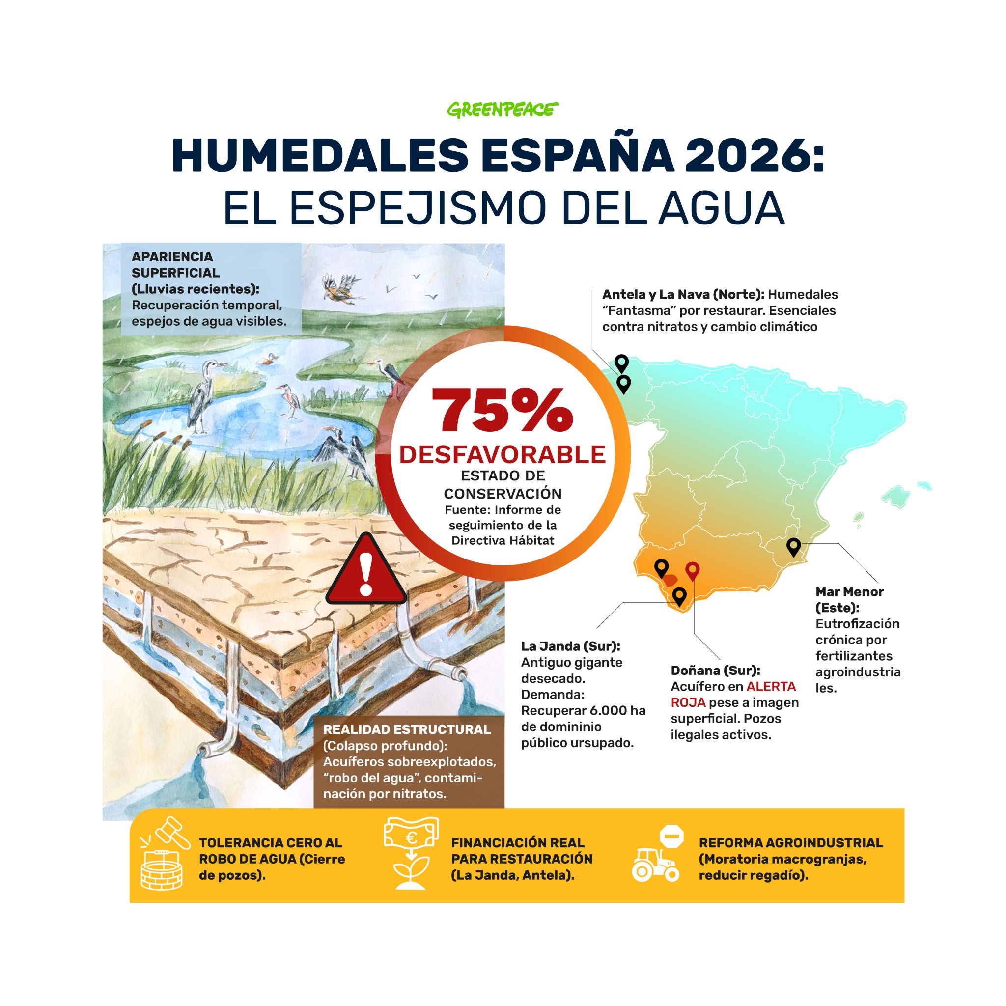 Humedales en España 2026: el espejismo de las lluvias no oculta el ...