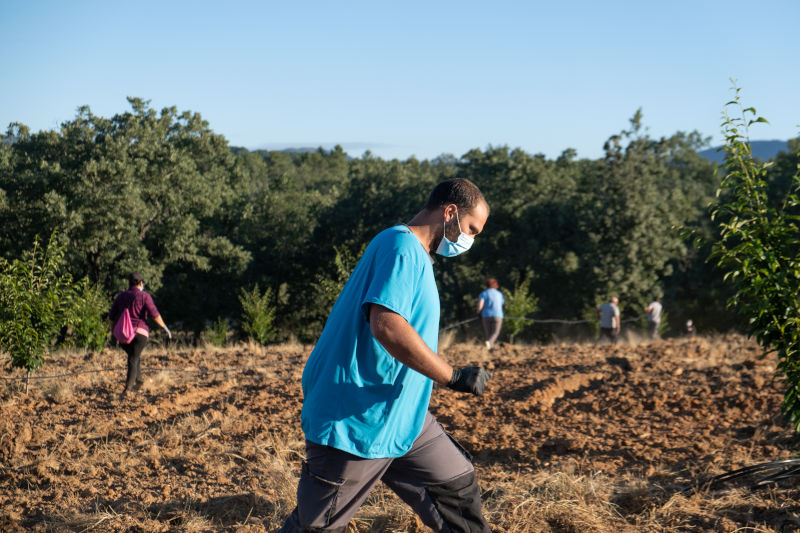 Agricultores en el campo