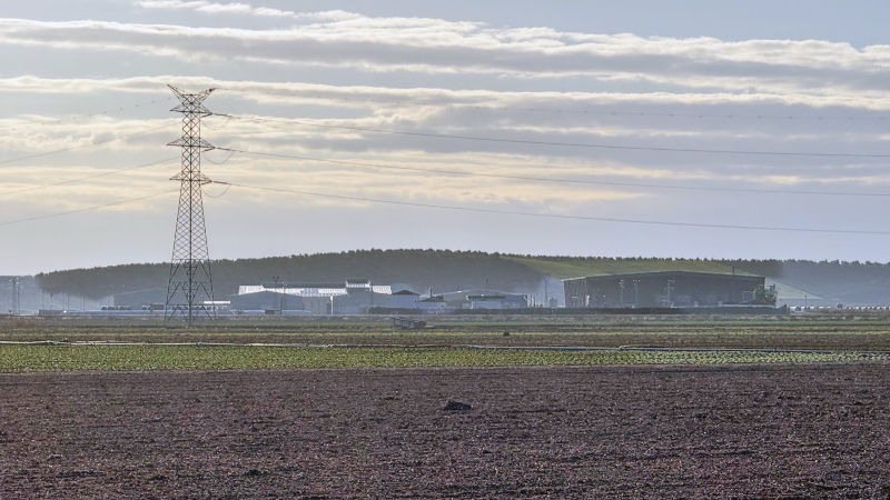 La mayor almazara de Europa
