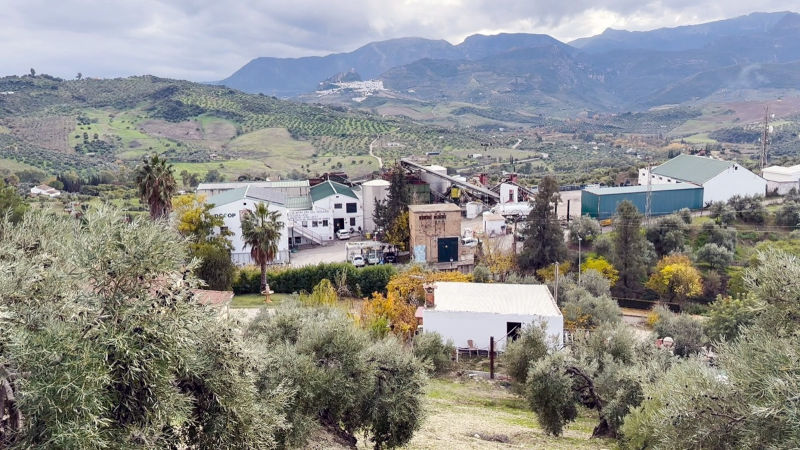 Almazara de olivar de montaña

