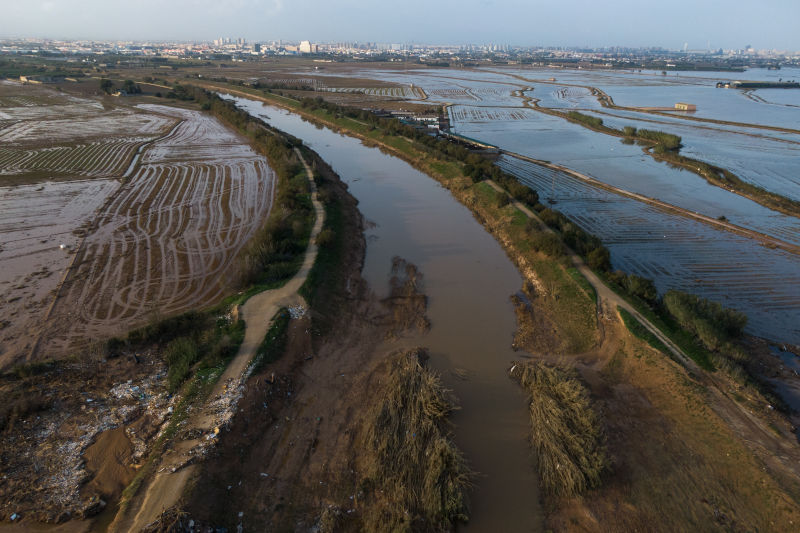 cosechas tras la dana