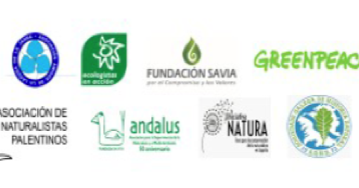 Captura-de-pantalla-de-2026-03-20-14-08-