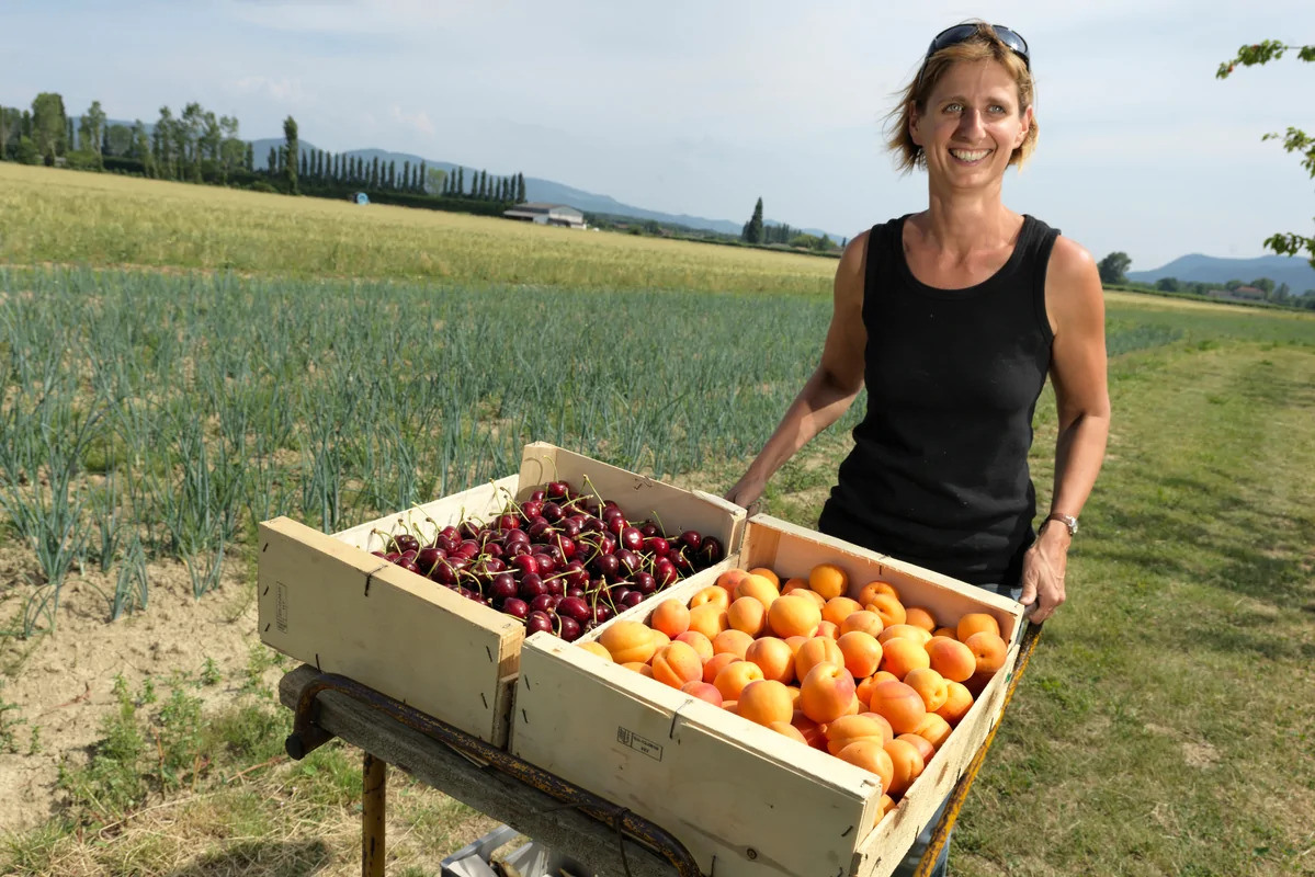 Agricultora con cajas de fruta