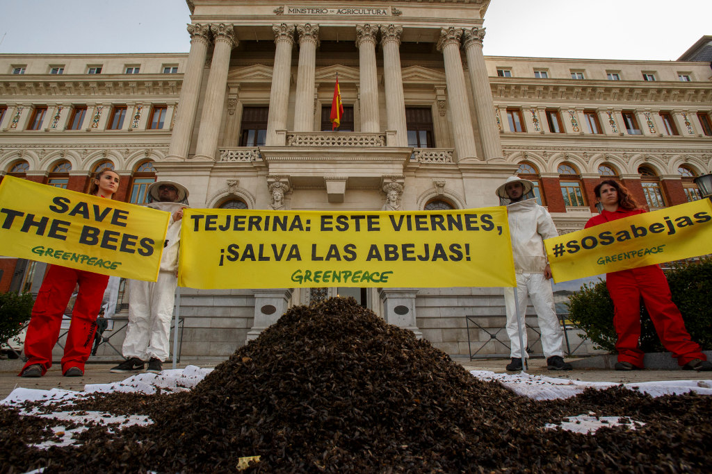 Acción SOS abejas