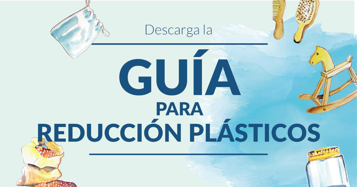 Bandejas de plástico: La guía definitiva + Info Esencial